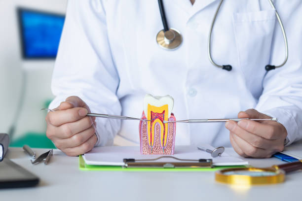 Best Emergency Dental Services Near Me  in Warren Af, WY